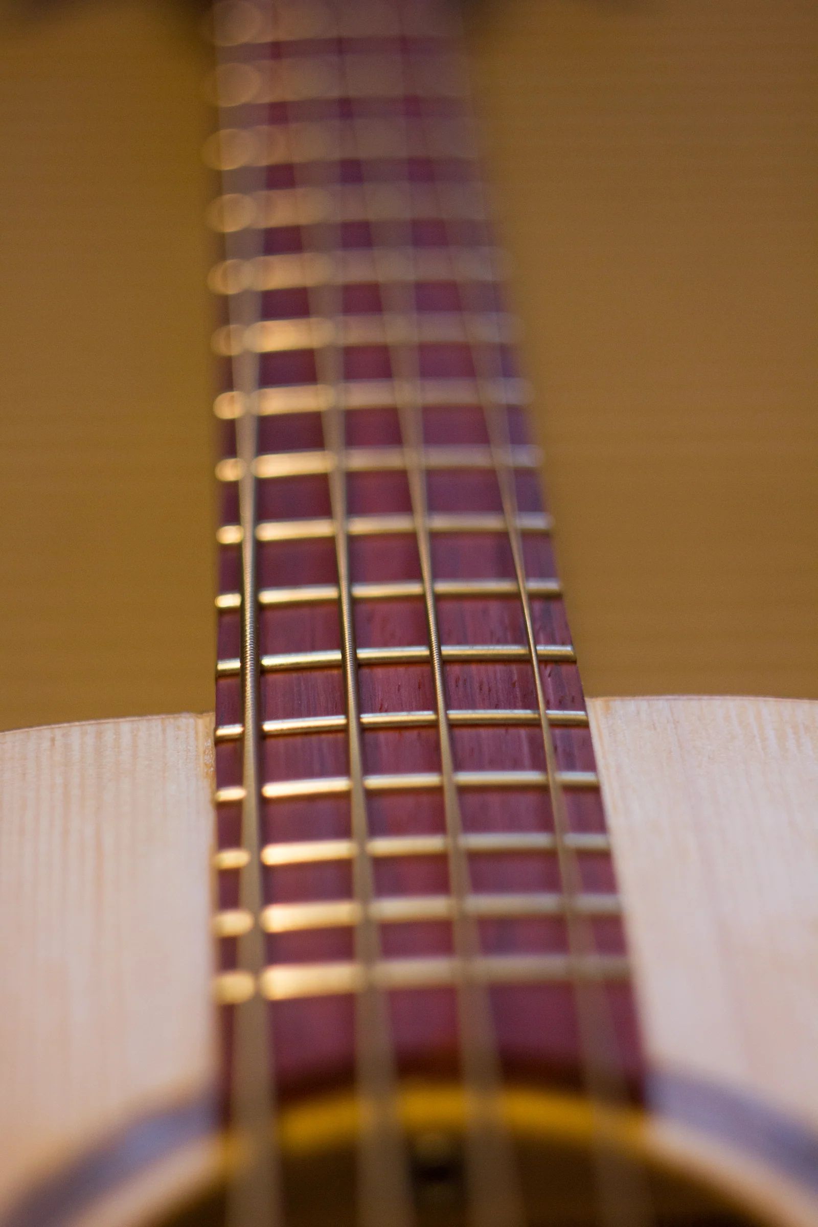 Close-up of the Padauk fretboard and strings of the acoustic uke-bass